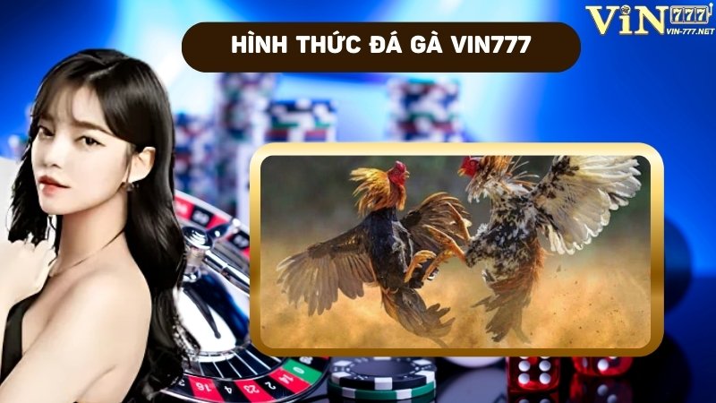 Hình thức đá gà VIN777