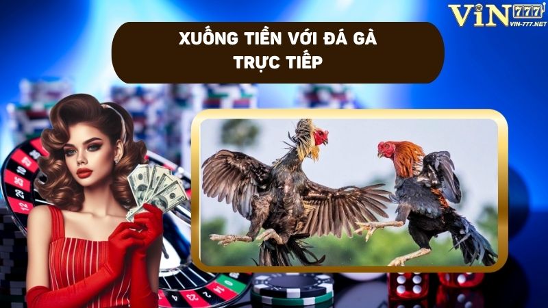 Xuống tiền với cá cược đá gà làm nên trải nghiệm thú vị